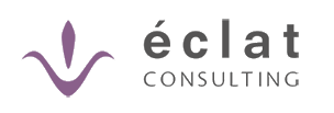 Test eclat Consulting